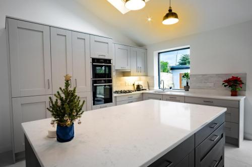 cottage-house-kitchen-extention-home-retrofit-stone-builders-blackrock-dublin-20